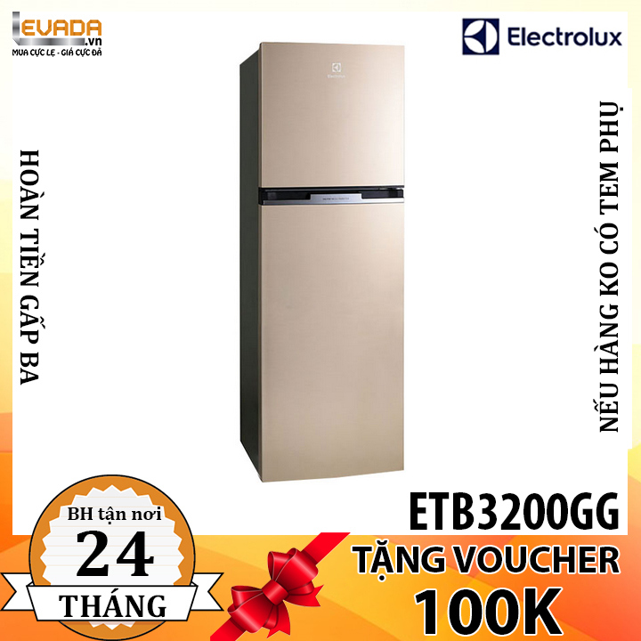  (CHỈ BÁN HCM) Tủ Lạnh Electrolux ETB3200GG Inverter 317 Lít 