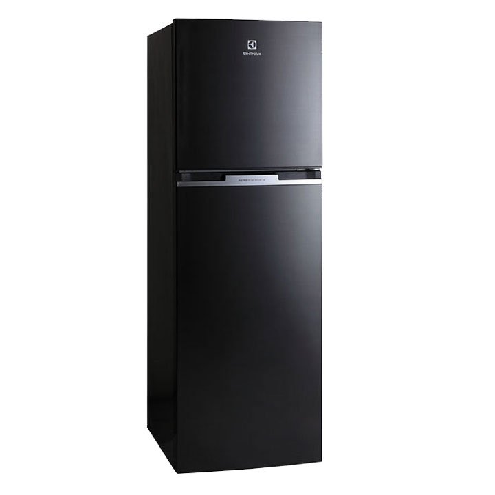  Tủ Lạnh Electrolux ETB2600BG - 254 Lít Inverter 